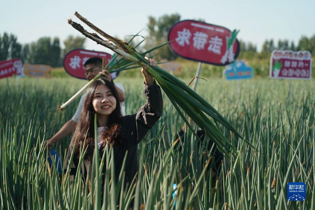 捕鱼欢乐季